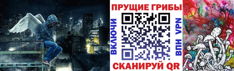 как найти закладки Северодвинск Галлюциногенные грибы Psilocybe